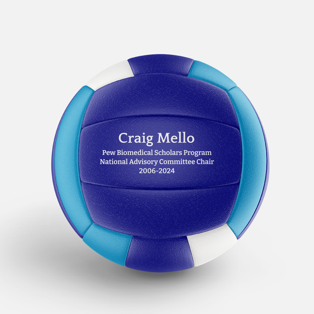 Custom Beach Volleyball - Image 4