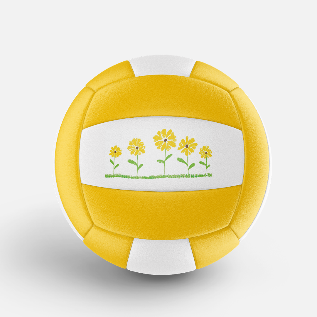 Custom Indoor Volleyball - Image 6