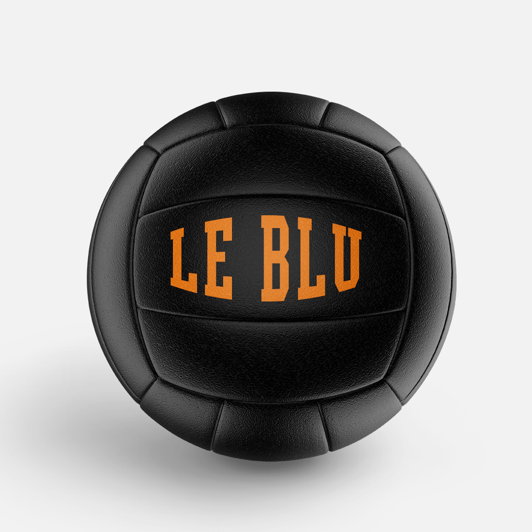 Custom Indoor Volleyball - Image 4