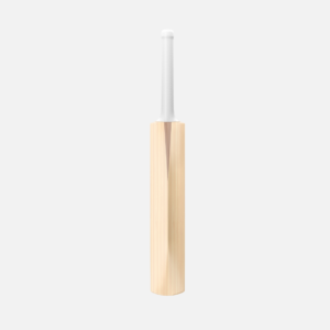 Custom English Willow Cricket Bat